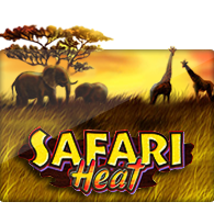 safari heat